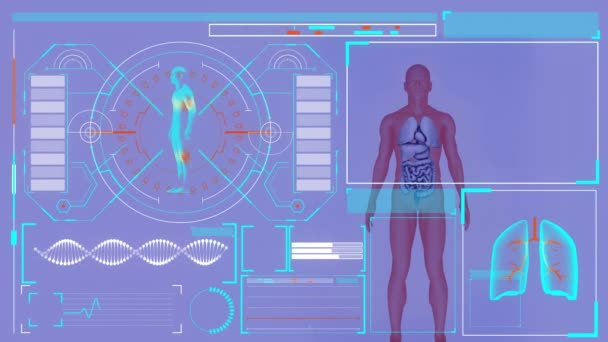 Animação Interface Digital Sobre Modelo Corpo Humano Conceito Global Pesquisa — Vídeo de Stock