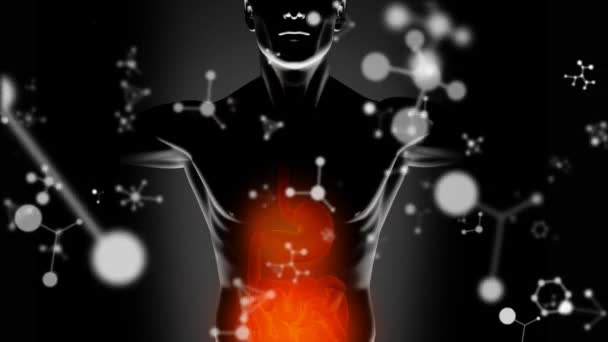 Nsan Vücudunun Üzerine Düşen Moleküllerin Animasyonu Dijital Ortamda Üretilmiş Küresel — Stok video