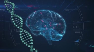 Mavi arka planda dijital beyin ve veri işleme animasyonu. küresel teknoloji ve dijital arayüz kavramı dijital olarak oluşturulmuş video.