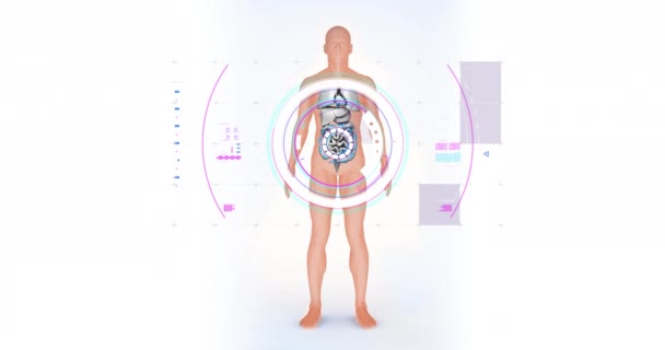 Animação Interface Digital Sobre Modelo Corpo Humano Conceito Global Pesquisa — Vídeo de Stock