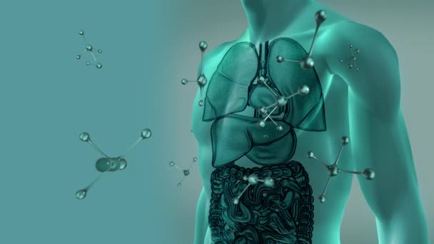 Animation Falling Molecules Human Body Model Concept Mondial Recherche Scientifique — Video