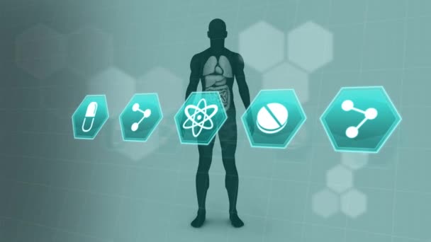 Animazione Icone Mediche Sul Modello Del Corpo Umano Ricerca Scientifica — Video Stock