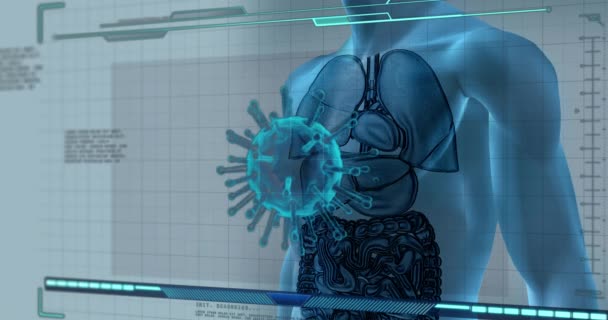 Анімація Клітин Вірусів Над Моделлю Людського Тіла Глобальні Наукові Дослідження — стокове відео