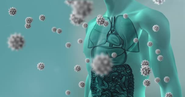 Animasi Dari Jatuhnya Virus Atas Model Tubuh Manusia Global Science — Stok Video