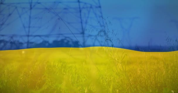 Animáció Zászló Ukrajnai Felett Mező Villanypóznák Ukrajnai Válság Gazdasági Energetikai — Stock videók