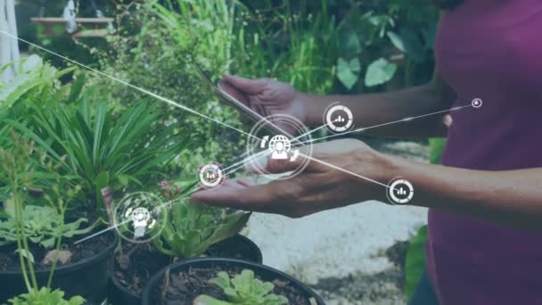 植物の葉に触れるデジタルタブレットを持つ人のクローズアップに対するデジタルアイコンのネットワーク コミュニティ ガーデン ウィークの意識概念 — ストック動画