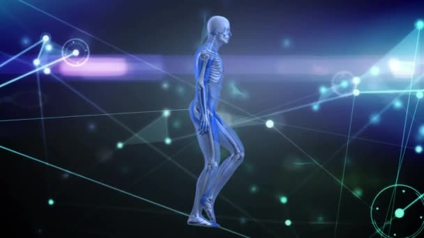 Animação Rede Conexões Sobre Modelo Corpo Humano Conceito Ciência Processamento — Vídeo de Stock