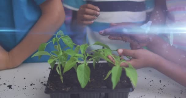 Blaulichtstreifen Gegen Eine Bunt Gemischte Schülergruppe Die Pflanzenproben Der Schule — Stockvideo