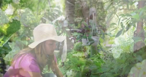 Composite Video Tall Trees Caucasian Woman Touching Leaves Plant Community — Vídeo de stock