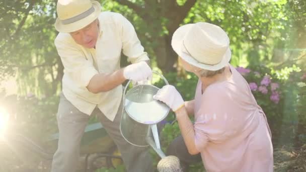 Spot Light Caucasian Senior Couple Watering Plants Together Garden Community — Stok video