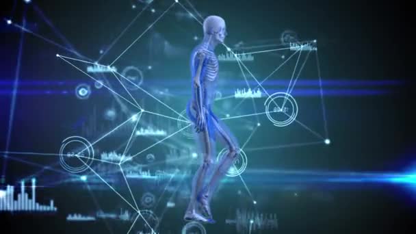 人間の身体モデル上の接続とデータ処理のネットワークのアニメーション 科学とデータ処理の概念はデジタルで生成され — ストック動画