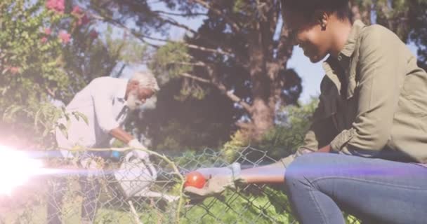 庭で一緒にアフリカ系アメリカ人の父と娘の園芸に対する光のスポット コミュニティ ガーデン ウィークの意識概念 — ストック動画