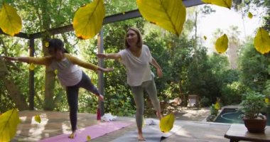 Yoga yapan iki Asyalı kadına birden fazla yaprak ikonu düşüyor. Meditasyon ve sağlıklı yaşam konsepti