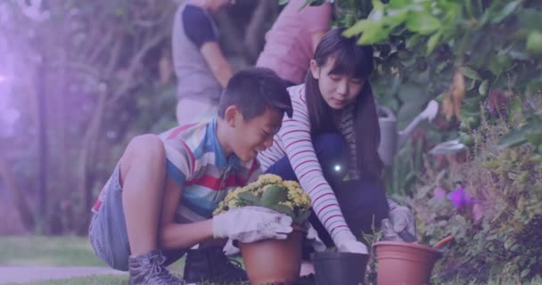 在花园里 一道阳光映衬着亚洲母亲和儿子一起种花 社区花园周意识概念 — 图库视频影像