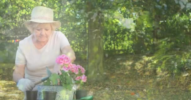Sammansatt Video Tress Skogen Mot Kaukasisk Senior Kvinna Trädgårdsskötsel Trädgården — Stockvideo