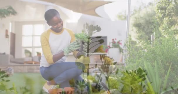 Kompositvideo Von Pflanzen Garten Gegen Afrikanisch Amerikanische Frau Die Eine — Stockvideo