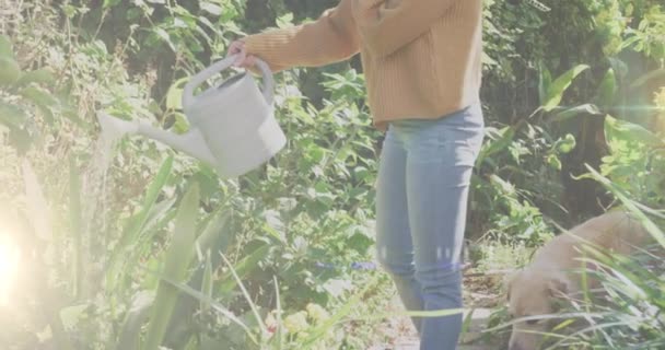 Mancha Luz Contra Mujer Caucásica Regando Plantas Jardín Concepto Conciencia — Vídeo de stock