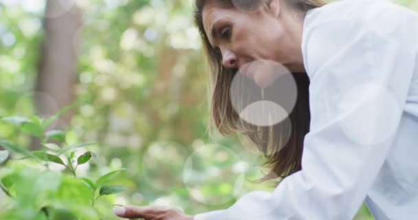 Spots Light Caucasian Senior Female Scientist Examining Plants Garden Community — Vídeo de stock