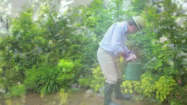 Composite Video Tall Trees Caucasian Senior Man Watering Plants Garden — Vídeo de stock