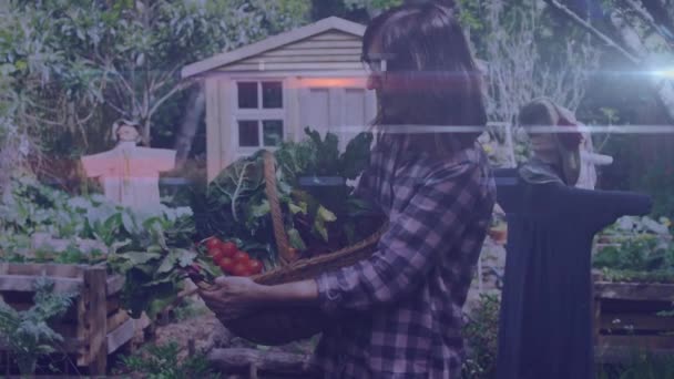 Light Trials Portrait Caucasian Woman Basket Full Vegetables Garden Community — Stock Video