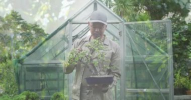 Bahçede saksı tutan Asyalı yaşlı adama karşı uzun ağaçların birleşik videosu. toplum bahçesi farkındalığı konsepti