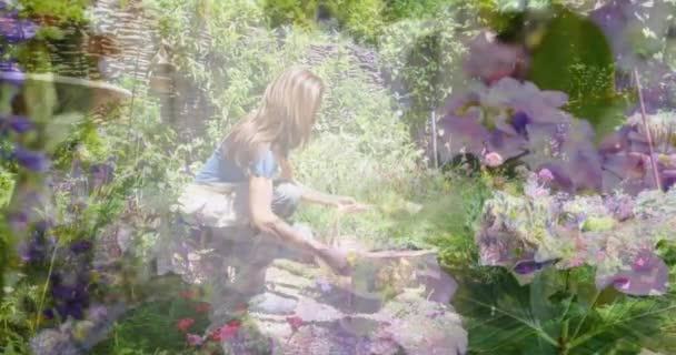 Σύνθετο Βίντεο Λουλούδια Στον Κήπο Κατά Καυκάσιας Γυναίκας Κρατώντας Γλάστρες — Αρχείο Βίντεο