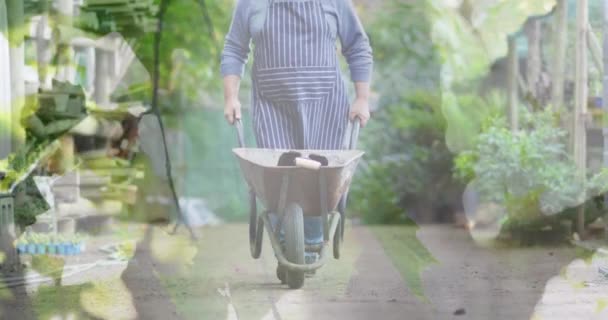 Composite Video Hanging Leaves Caucasian Senior Man Moving Garden Cart — Vídeo de stock