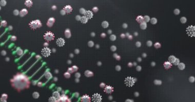 DNA ve siyah arkaplan üzerinde virüs hücrelerinin animasyonu. Coronavirus covid 19 salgını sırasında dijital olarak üretilen video.