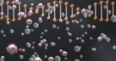 DNA ve siyah arkaplan üzerinde virüs hücrelerinin animasyonu. Coronavirus covid 19 salgını sırasında dijital olarak üretilen video.