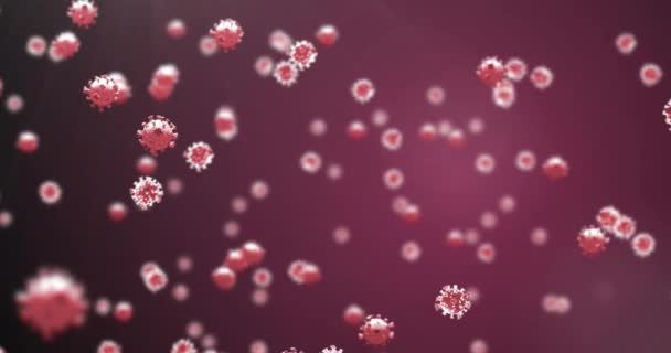 Kırmızı Zemin Üzerinde Virüs Hücrelerinin Canlandırılması Coronavirus Covid Salgını Sırasında — Stok video