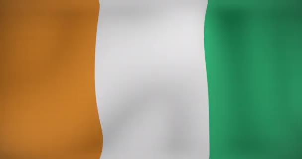 Animazione Fuochi Artificio Sopra Bandiera Irlanda Bandiere Simboli Nazionali Concetto — Video Stock