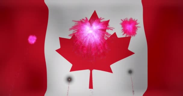 Animering Fyrverkerier Över Kanadas Flagga Flaggor Nationella Symboler Och Patriotism — Stockvideo