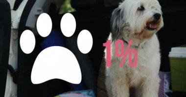 Arabanın arkasında oturan köpeğe oranla daha yüksek yüzdeye sahip bir pençe simgesi. Ulusal barınak evcil hayvan günü farkındalığı kavramını benimsedi