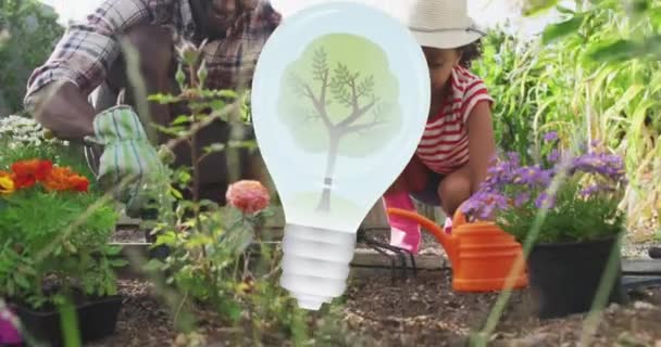 Animación Bombilla Con Árbol Sobre Padre Hija Afroamericanos Jardín Concepto — Vídeos de Stock