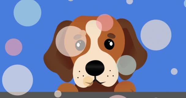 Multiple Colorful Spots Floating Cute Puppy Face Icon Copy Space — Stock Video