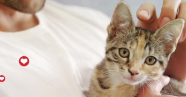 Kedi yavrusuyla oynayan bir adamın orta kısmında birden fazla kalp ikonu var. Ulusal barınak evcil hayvan günü farkındalığı kavramını benimsedi