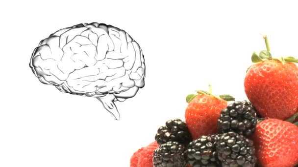 Beynin Beyaz Arka Planda Çilek Böğürtlenlerle Dönmesi Zihin Düşünme Sağlıklı — Stok video