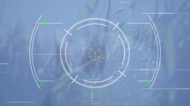 Meadow 'daki tavşanın üzerinde vizör animasyonu. veri işleme, doğa, teknoloji ve dijital arayüz kavramı dijital olarak oluşturulmuş video.