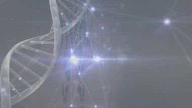 DNA animasyonu, bağlantılar ve gri arka planda insan modeli. Bilim, insan biyolojisi, teknoloji ve dijital arayüz konsepti dijital olarak oluşturulmuş video.