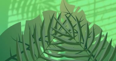 Bitkilerin yaprakların üzerindeki animasyonu ve yeşil arka planda pencere gölgesi. gölge, desen ve renk konsepti dijital olarak oluşturulmuş video.