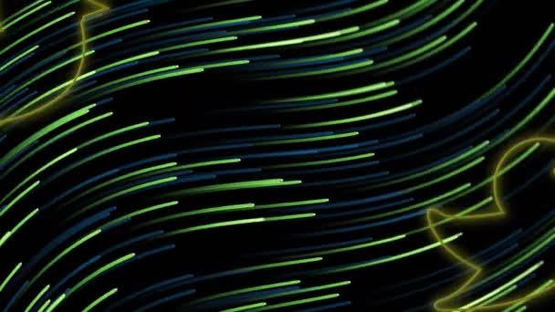 Анімація Неонових Птахів Ліній Рухаються Над Чорним Тлом Візерунок Колір — стокове відео