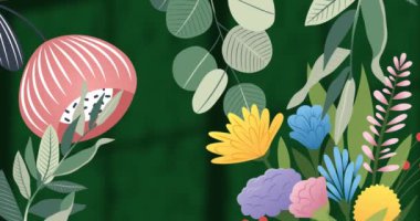 Yaprakların üzerindeki çiçeklerin canlandırılması ve yeşil arka plandaki pencere gölgesi. gölge, desen ve renk konsepti dijital olarak oluşturulmuş video.