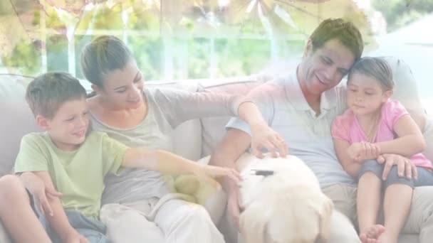 Evde Köpekleriyle Oynayan Beyaz Bir Aileye Karşı Daldaki Yaprakların Birleşik — Stok video