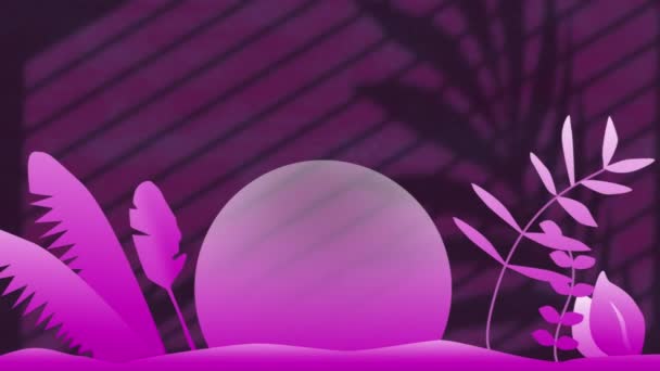 Анімація Рослин Сонця Над Листям Тіні Вікна Фіолетовому Фоні Тінь — стокове відео