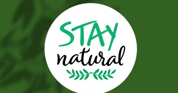 Animation Stay Natural Text Green Background Ecology Recycling Concept Digitally — ストック動画