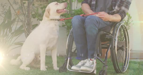 Spot Light Caucasian Handicapped Man Wheelchair Playing His Dog National — Video