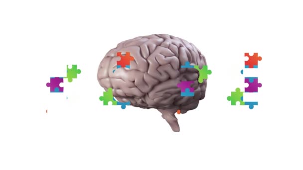 Animación Esperanza Hecha Rompecabezas Coloridos Cerebro Girando Sobre Fondo Blanco — Vídeos de Stock