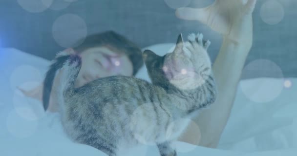 Στιγμές Φωτός Εναντίον Καυκάσιου Άνδρα Που Παίζει Γάτα Του Ενώ — Αρχείο Βίντεο