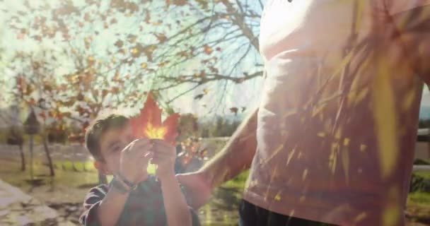 Animation Grass Happy Caucasian Father Son Having Fun Outdoors Family — Vídeo de stock
