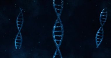 Mavi 3D DNA iplikçiklerinin dönüşünün animasyonu. Bilim ve araştırma konsepti dijital olarak üretilen video konsepti.